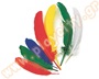 Φτερά χειροτεχνίας πολύχρωμα 15 εκατοστών περίπου σε συσκευασία με περίπου 120 τεμάχια.