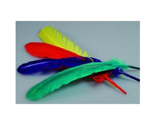 Φτερά πολύχρωμα 30 εκατοστών σε σετ 25 τεμάχια, για διακόσμηση χειροτεχνίας, ιδανικά για ΚΔΑΠ.