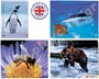 Σετ 4 ξύλινα παζλ με πλαίσιο που απεικονίζουν ζωάκια που είναι υπό εξαφάνιση όπως πιγκουίνο και αρκούδα.