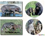 Σετ 8 ξύλινα παζλ  άγρια ζώα και τα μικρά τους