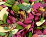Χρωματιστά φύλλα με ρεαλιστικές λεπτομέρειες σε συσκευασία 50 γραμμαρίων